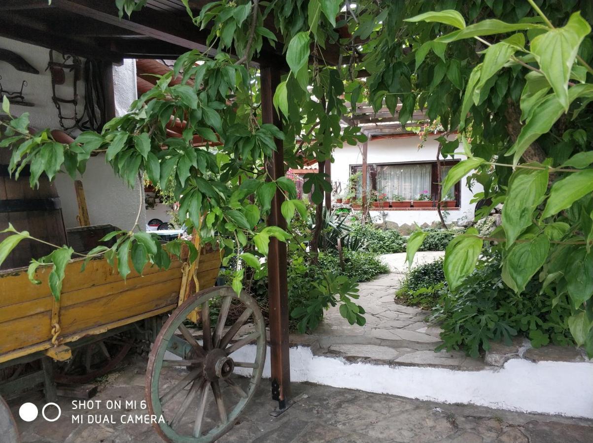 Papanovata House Pensiune Enina